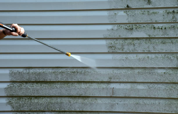 Best Mold Remediation Services  in Vinton, VA