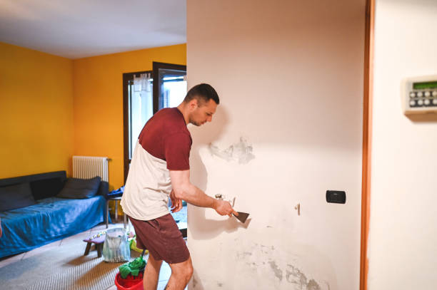 Best Crawl Space Mold Removal  in Vinton, VA